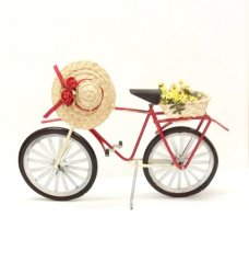 Country Bicycle with Daisies