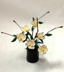 Magnolia Flowers in Black Vase